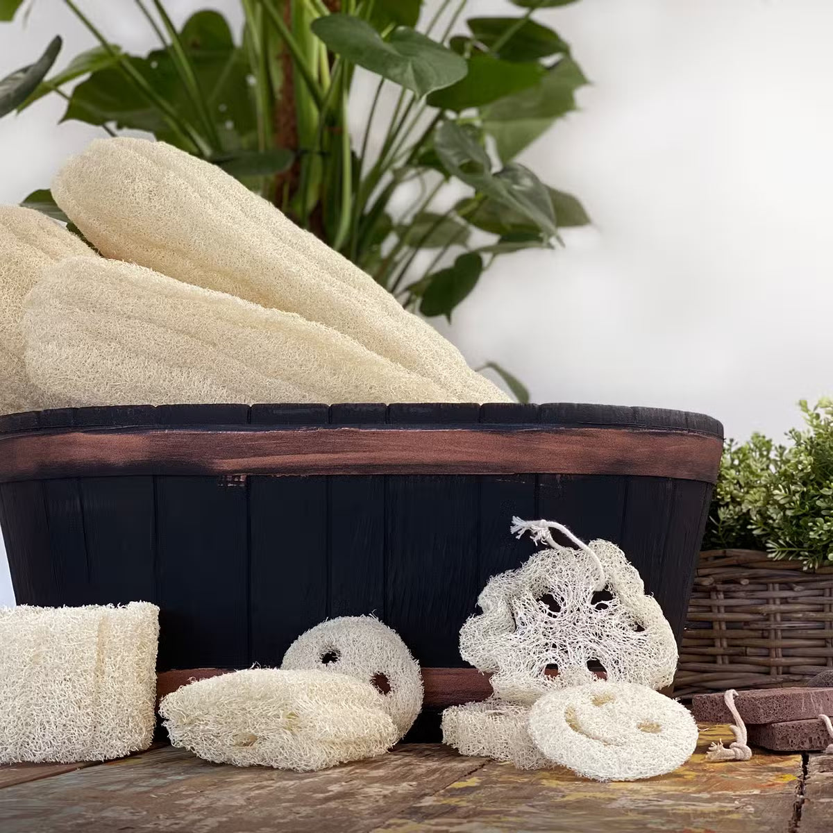 Egyptiläinen luonnonluffa