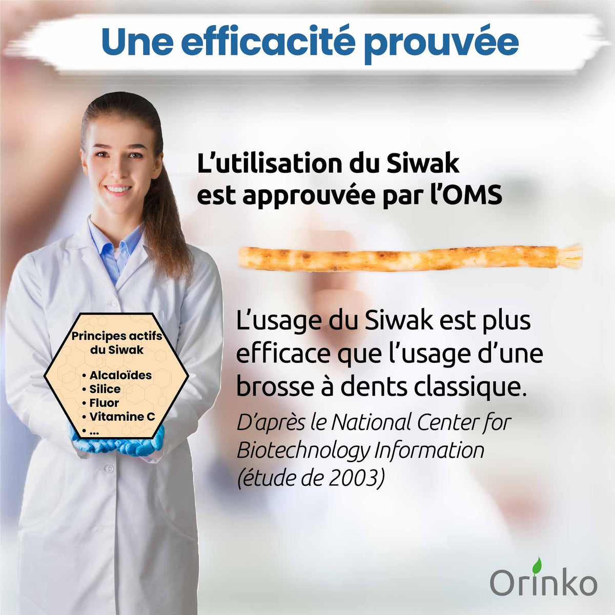 Miswak  ( Siwak)  x5 + suojakotelo