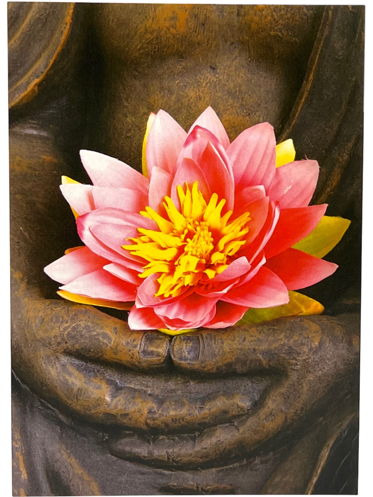 Vykort Lotus 15x10,5 cm