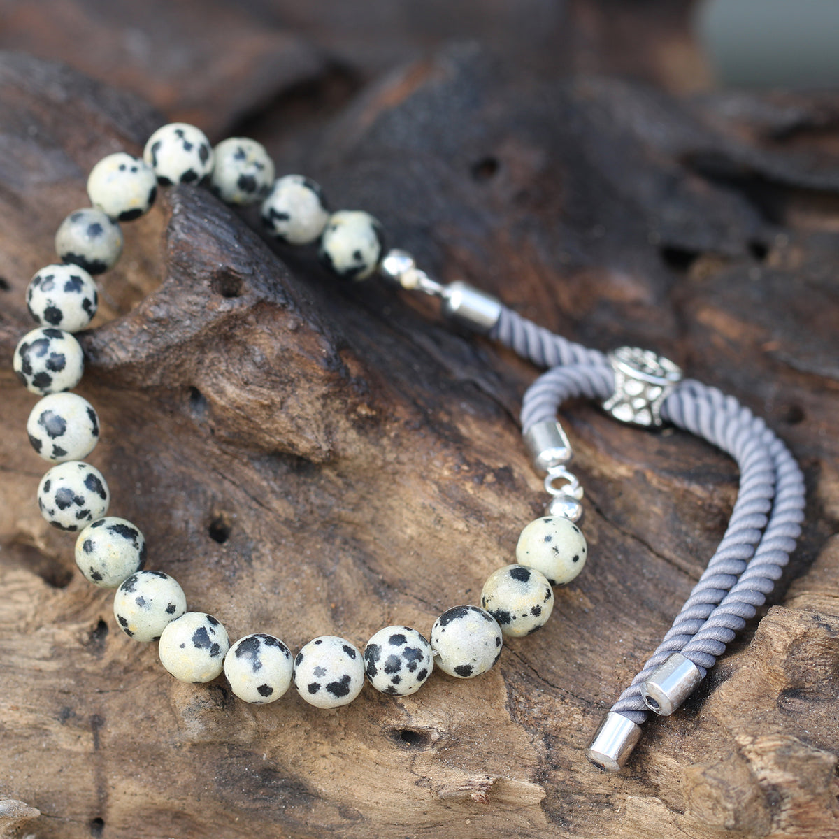 Armband Dalmatiner Jaspis 925 silverpläterat
