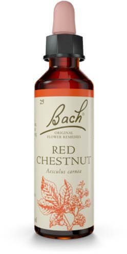 Red Chestnut 20ml