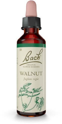 Walnut 20ml