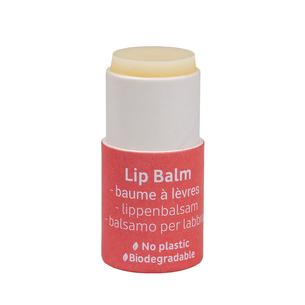 Beauty Made Easy – Berry Huulivoide