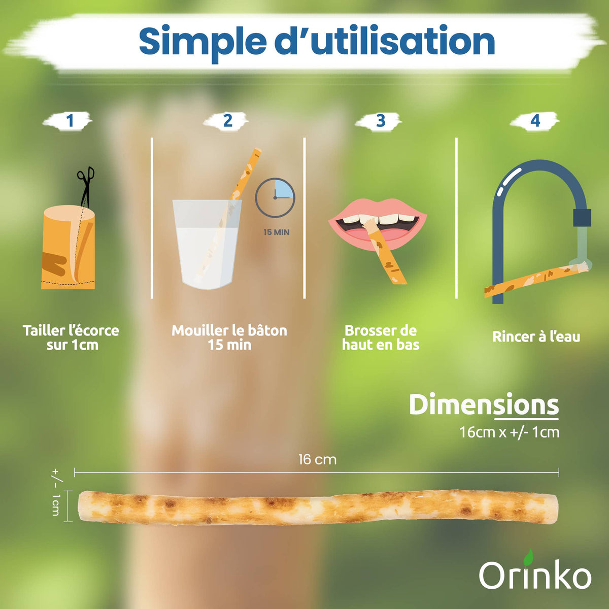 Miswak + skyddsfodral