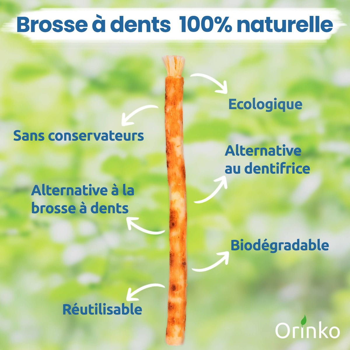 Miswak  ( Siwak)  x5 + suojakotelo