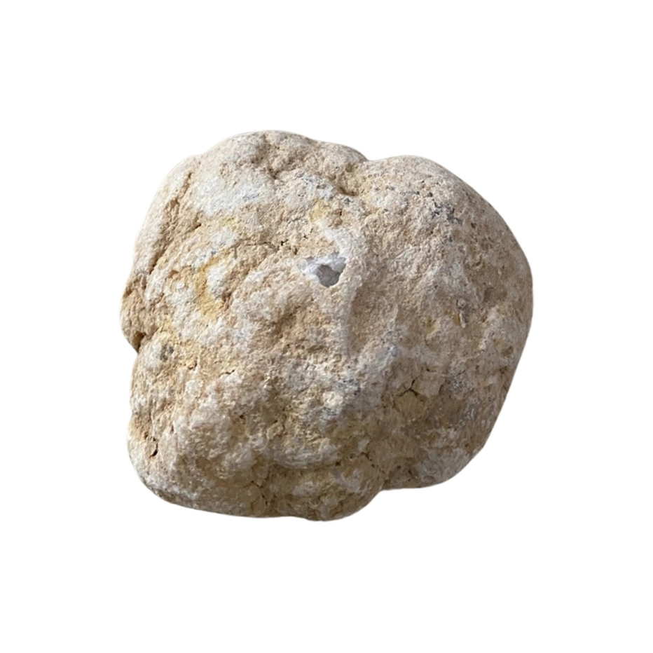 Geodi, keskikoko 5-6cm
